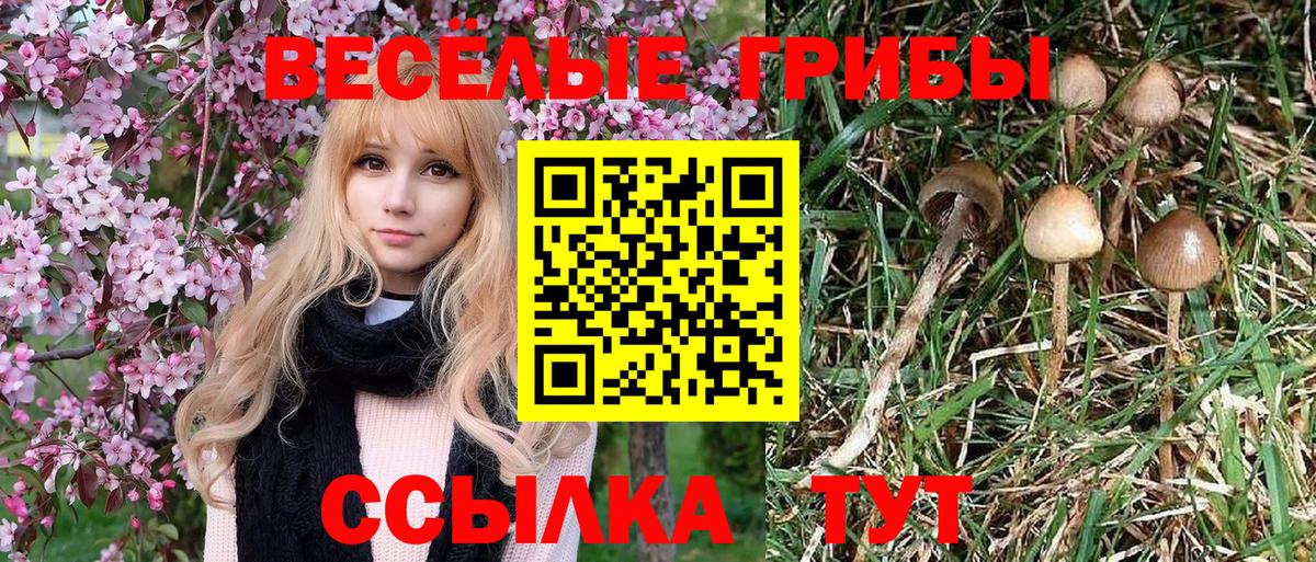 Галлюциногенные грибы прущие грибы  Вход с VPN  Брянск 